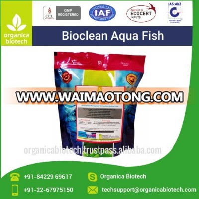 Improve Immunity of Small Fish/Fish Starter Cultures